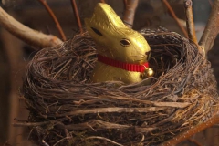 BDM2013-04-2.Platz-Ostern-Margot