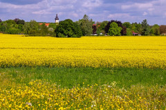 Feld bei Planegg