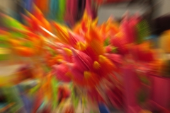 AuerDult 8 Heinz